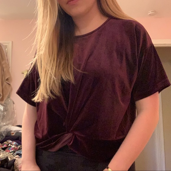 Velvet Marron Blouse - Picture 3 of 3